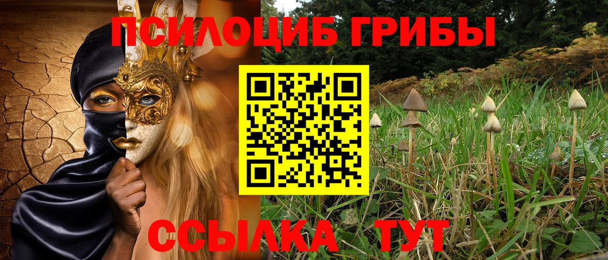 Псилоцибиновые грибы Cubensis  Галлюциногенные грибы Psilocybe  Вход с VPN  Энгельс 